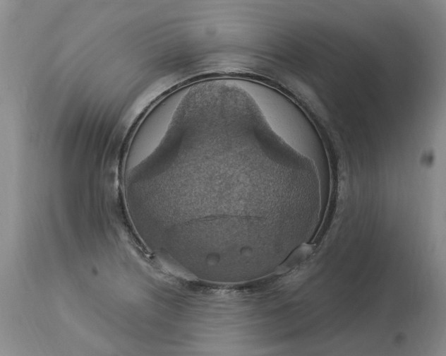 X0000113231226200910011401