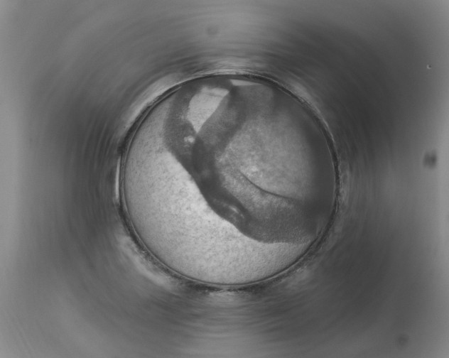 X0000113231227200910011401