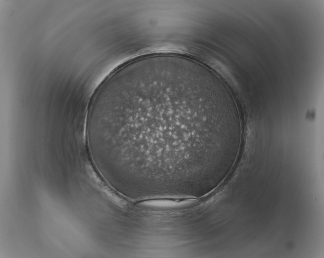 X0000113231228200910011401