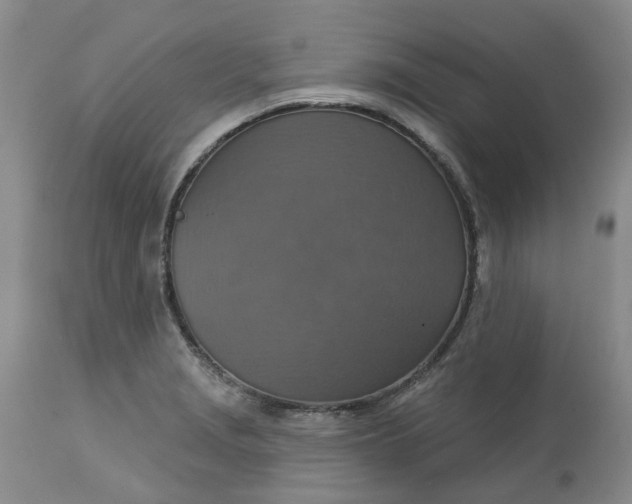 X0000113231229200910011401