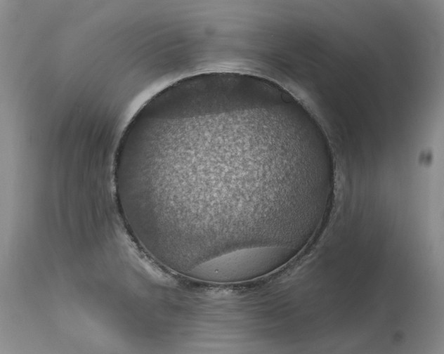 X0000113231230200910011401