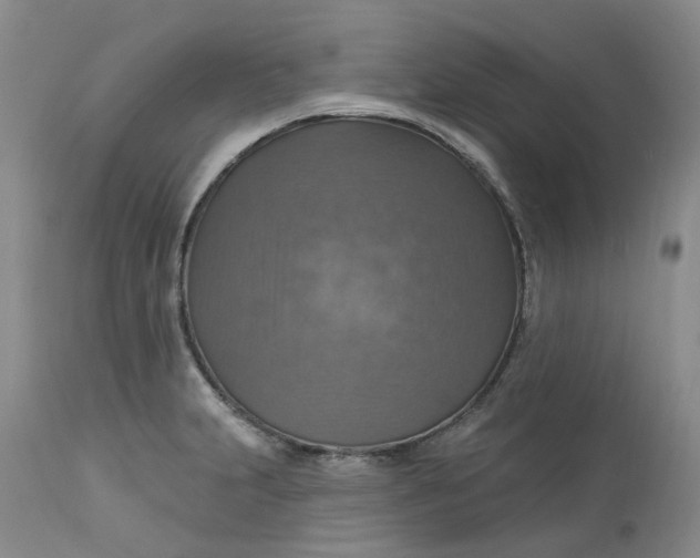 X0000113231231200910011401