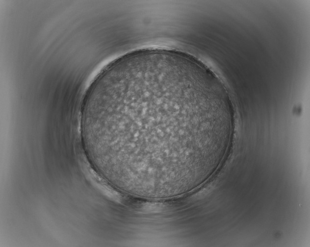 X0000113231232200910011401