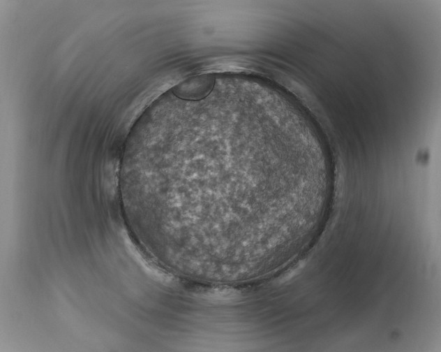 X0000113231233200910011401