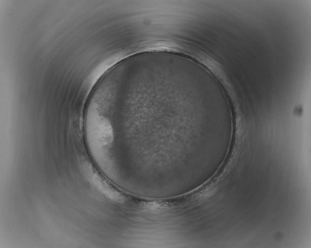 X0000113231234200910011401