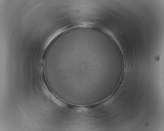 X0000113231235200910011401