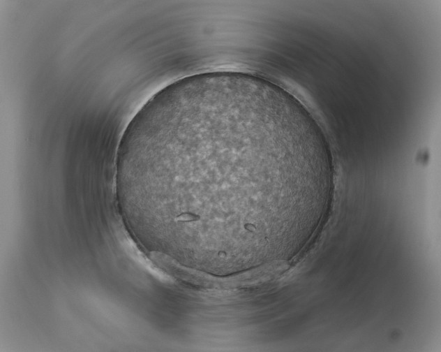 X0000113231236200910011401