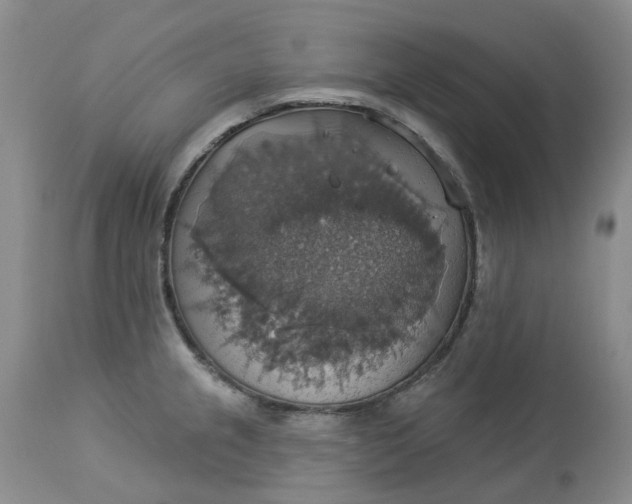 X0000113231237200910011401