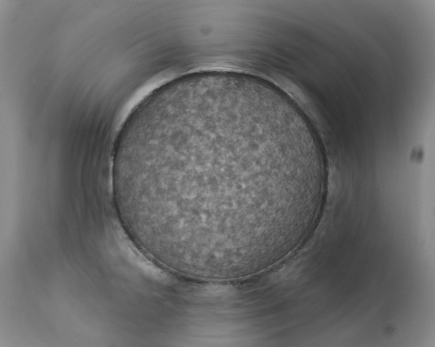 X0000113231238200910011401