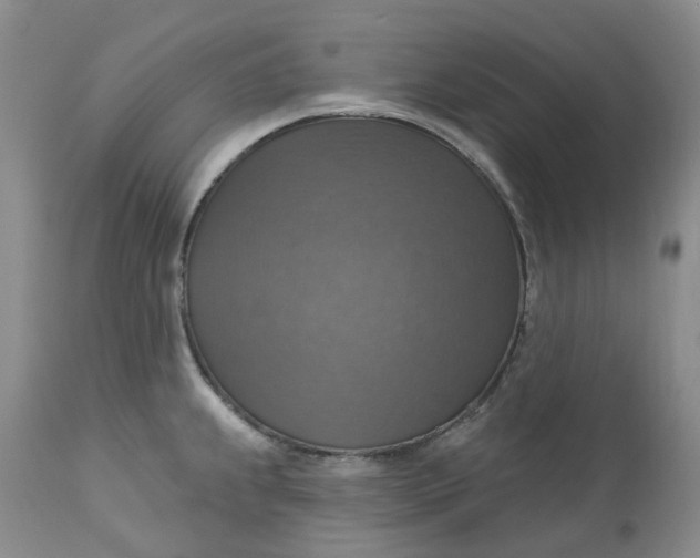 X0000113231239200910011402