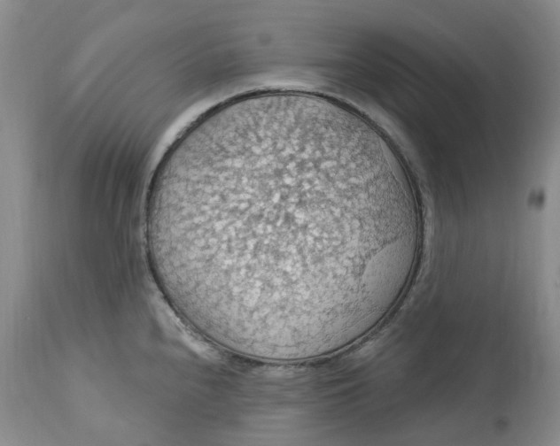 X0000113231240200910011402