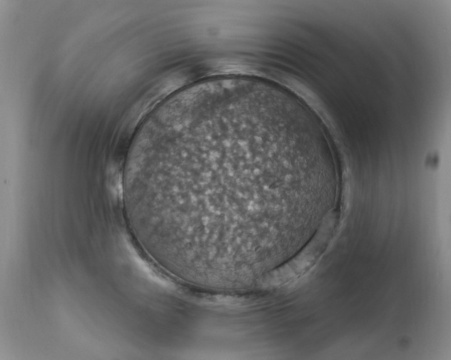 X0000113231241200910011402