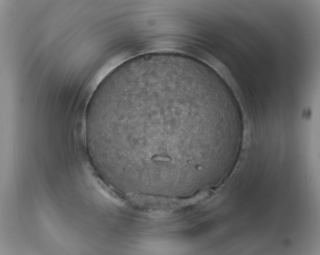 X0000113231242200910011402