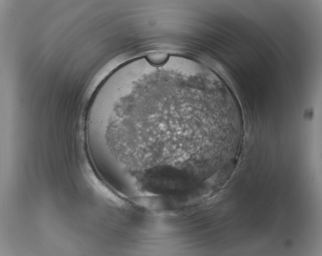 X0000113231243200910011402