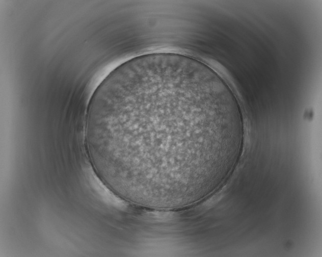 X0000113231244200910011402