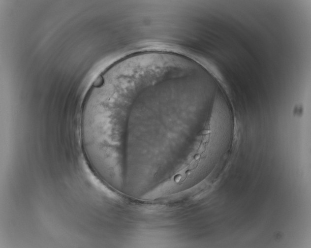 X0000113231247200910011402