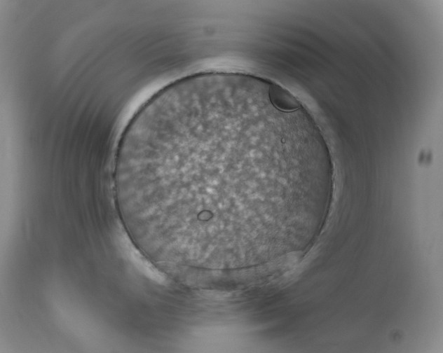 X0000113231248200910011402