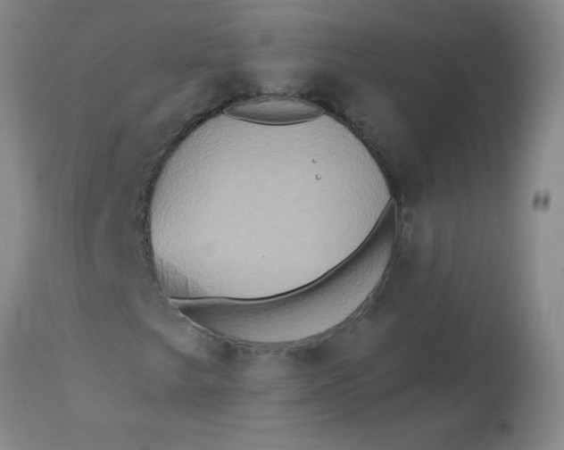 X0000113231249200910011401