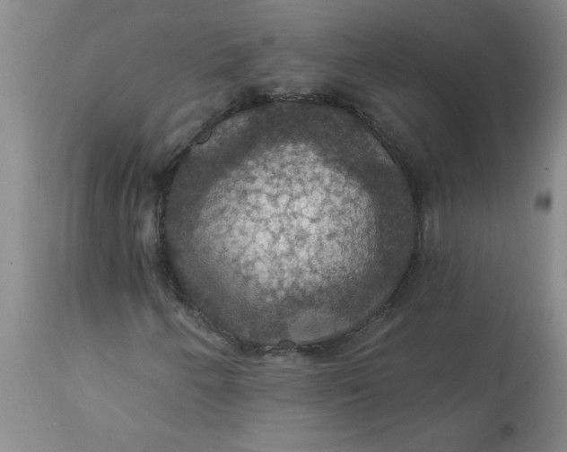 X0000113231250200910011401