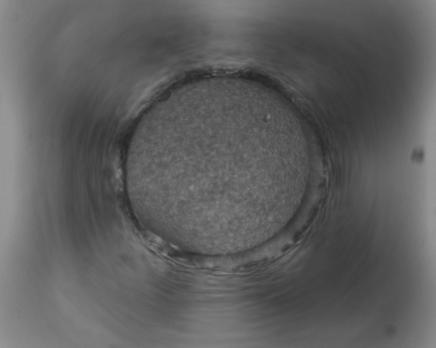 X0000113231252200910011401