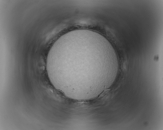 X0000113231253200910011401