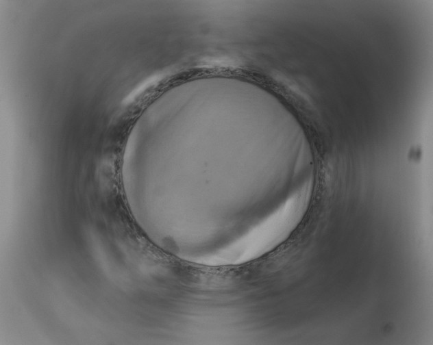 X0000113231254200910011401