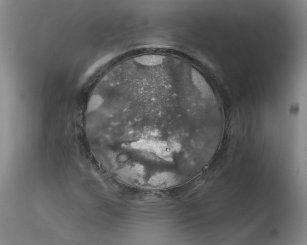 X0000113231255200910011401