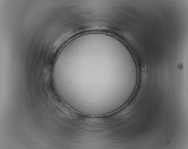 X0000113231257200910011401