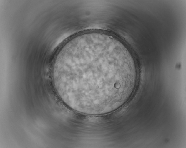 X0000113231258200910011401