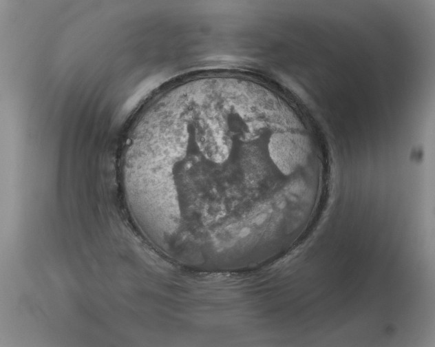 X0000113231259200910011401