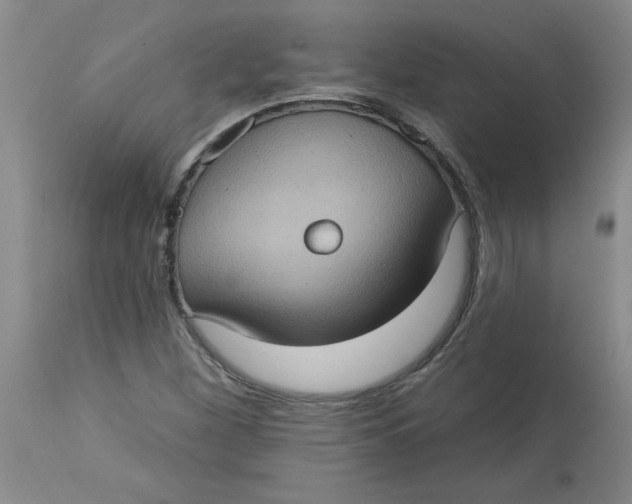 X0000113231260200910011401