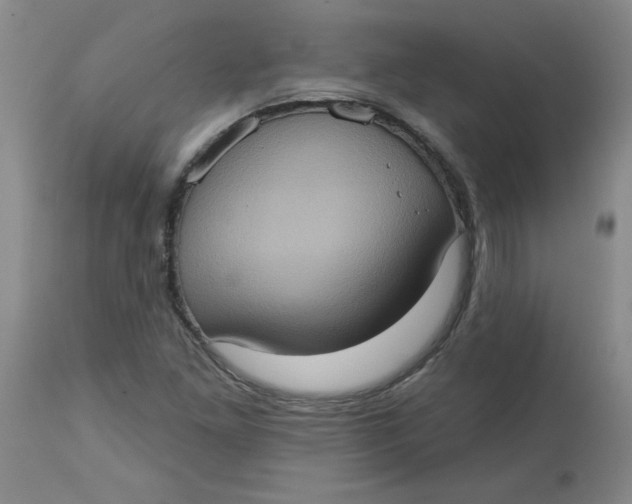 X0000113231261200910011401