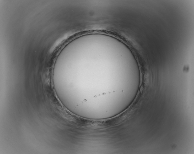 X0000113231262200910011401