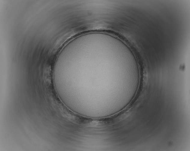 X0000113231265200910011401