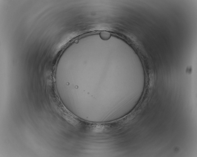 X0000113231266200910011401