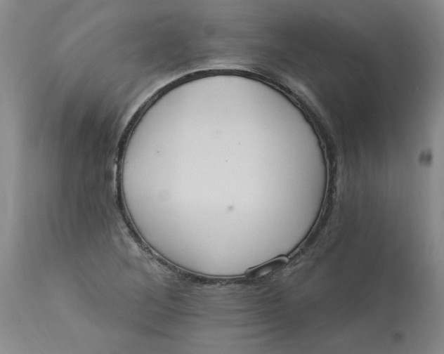 X0000113231268200910011401