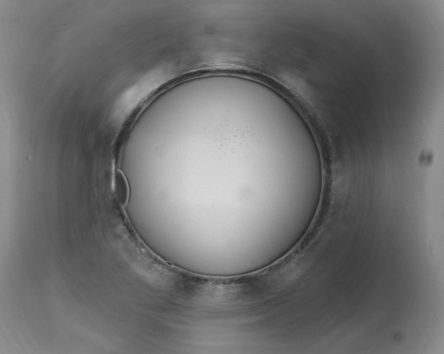 X0000113231269200910011401