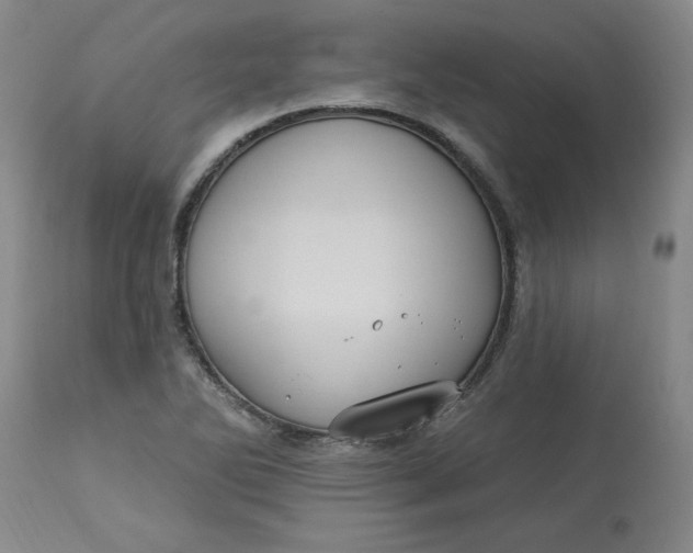 X0000113231270200910011401