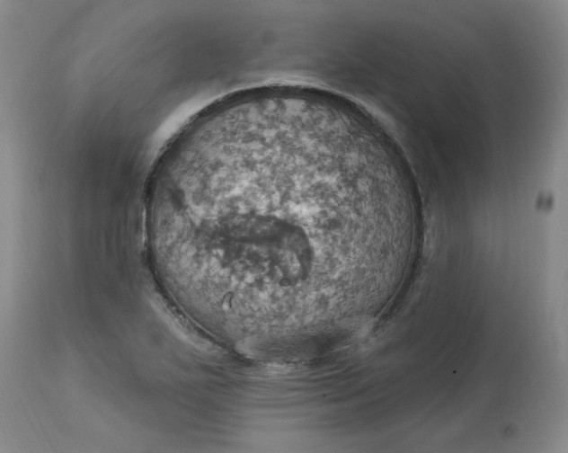 X0000113231271200910011401