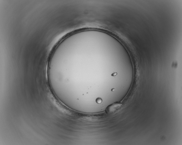 X0000113231272200910011401