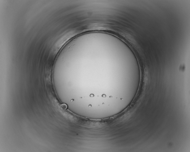 X0000113231273200910011401