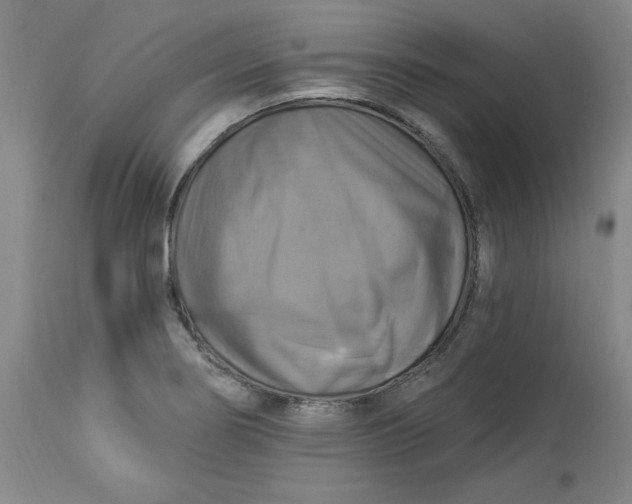 X0000113231274200910011401