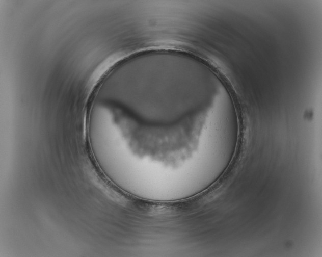 X0000113231275200910011401