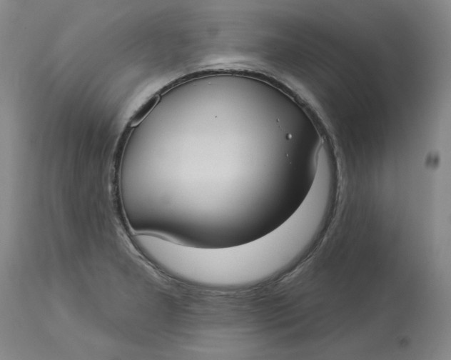 X0000113231277200910011401