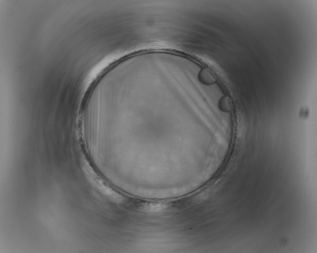 X0000113231278200910011400