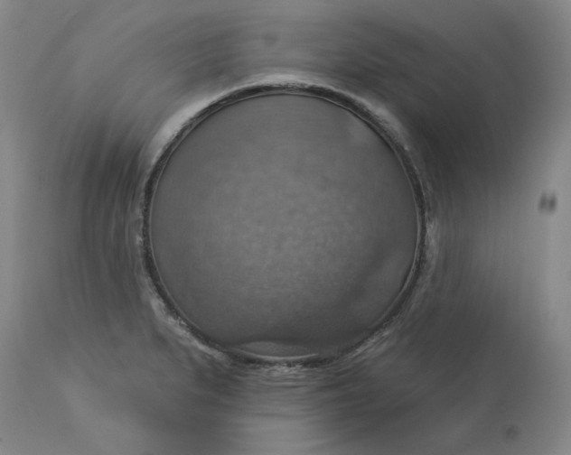 X0000113231279200910011400