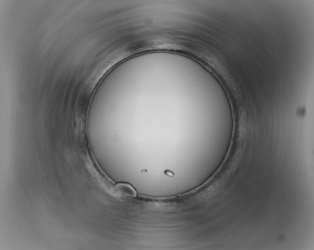 X0000113231281200910011400