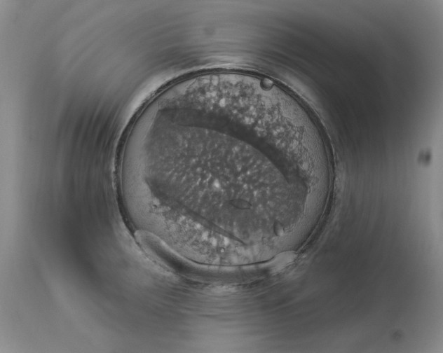 X0000113231283200910011400