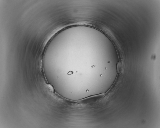 X0000113231284200910011400