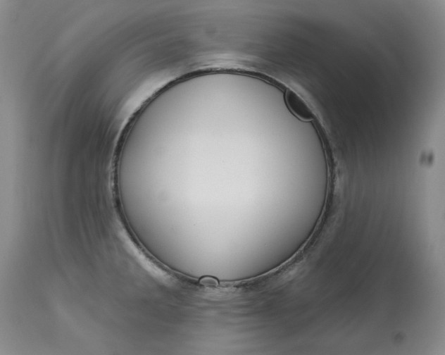 X0000113231285200910011400